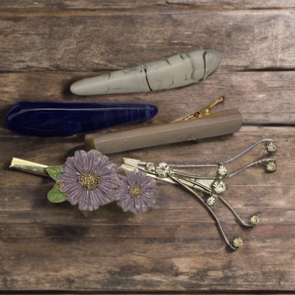 Hair Clip Set, Vintage and Contemporary
